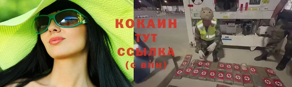 гидропоника Алзамай