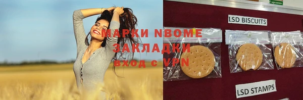 хмурый Алексин