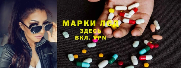 хмурый Алексин
