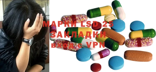хмурый Алексин