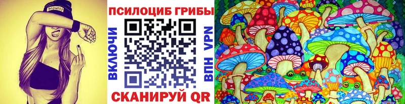 купить   гидра ONION  Псилоцибиновые грибы GOLDEN TEACHER  нарко площадка какой сайт  Пикалёво 